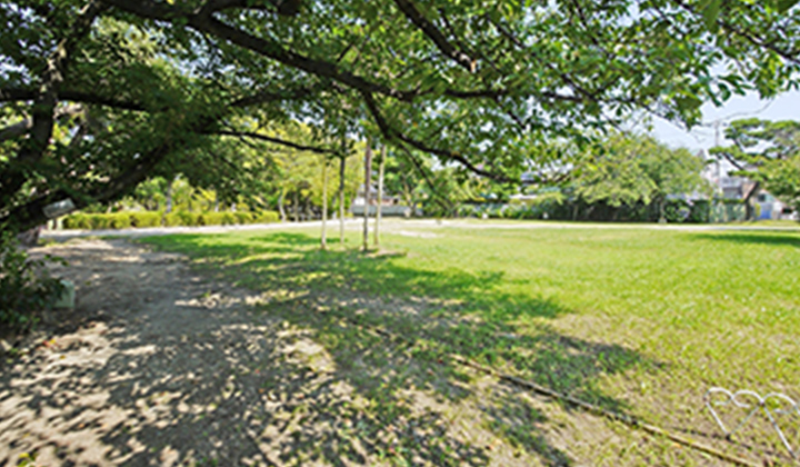 緑ヶ丘公園