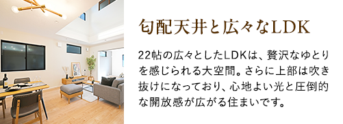 勾配天井と広々なLDK