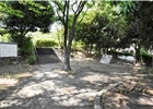 豊楽公園