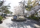 松風公園