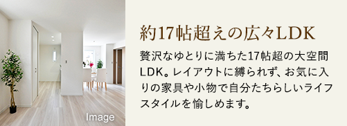 約17帖超えの広々LDK