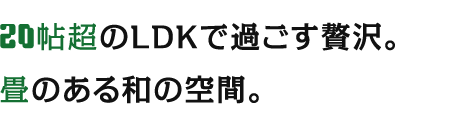 20帖超のLDKで過ごす贅沢。畳のある和の空間。